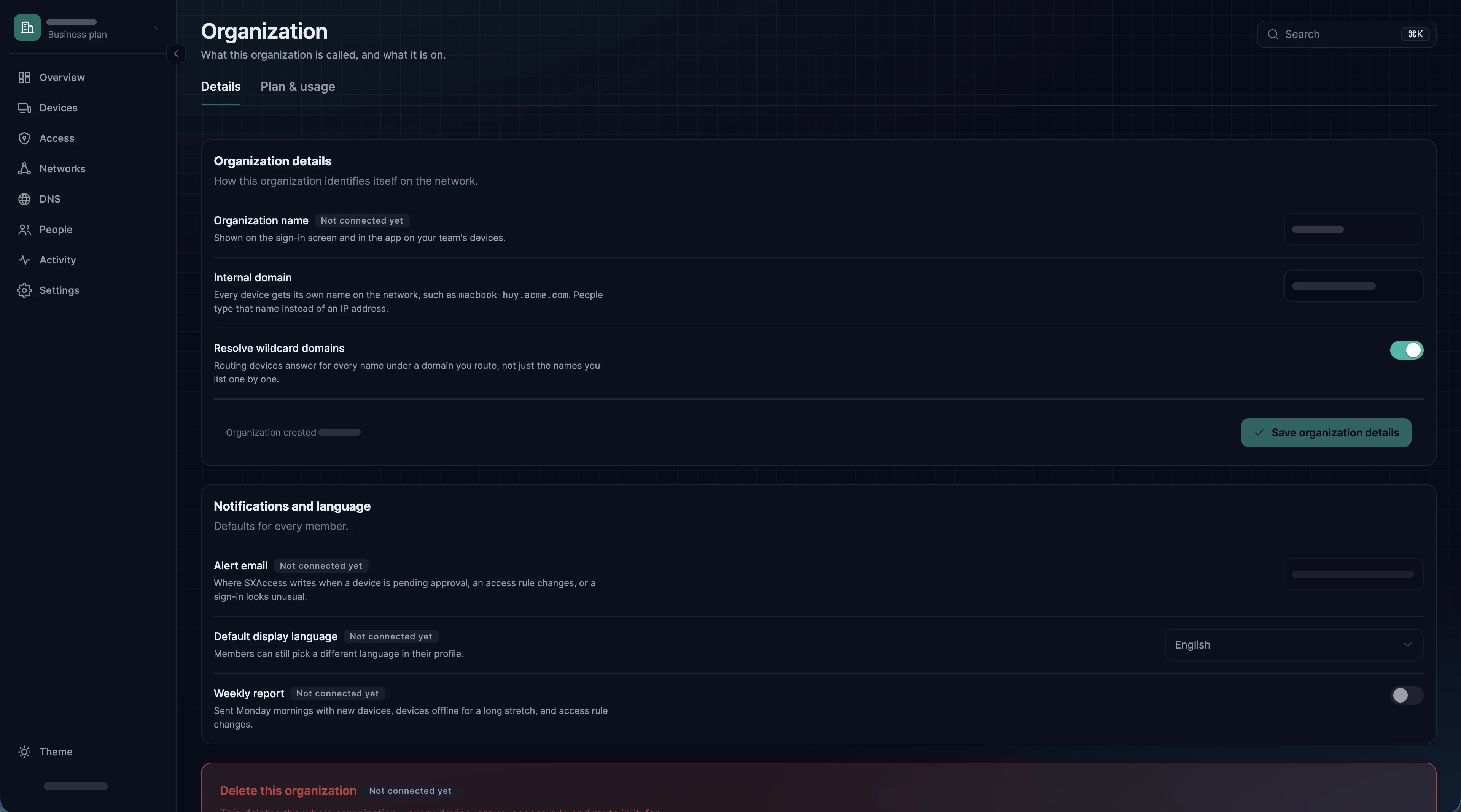 The Details tab of Organization settings with the internal domain, wildcard resolution and rows marked Not connected yet.